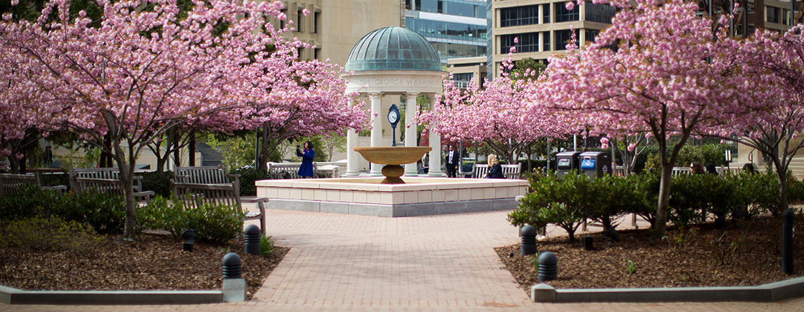 View of Kogan from corner through cherry blossoms