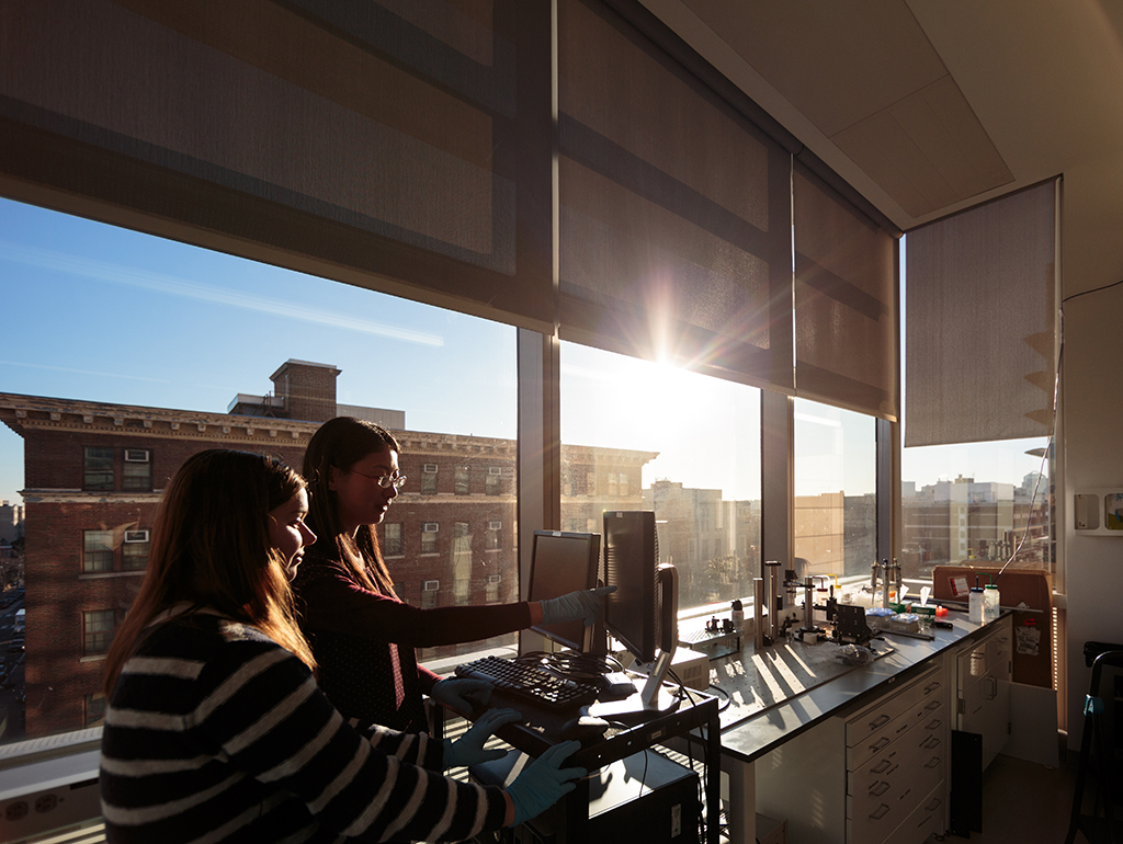 students doing research in the upper floors of SEH